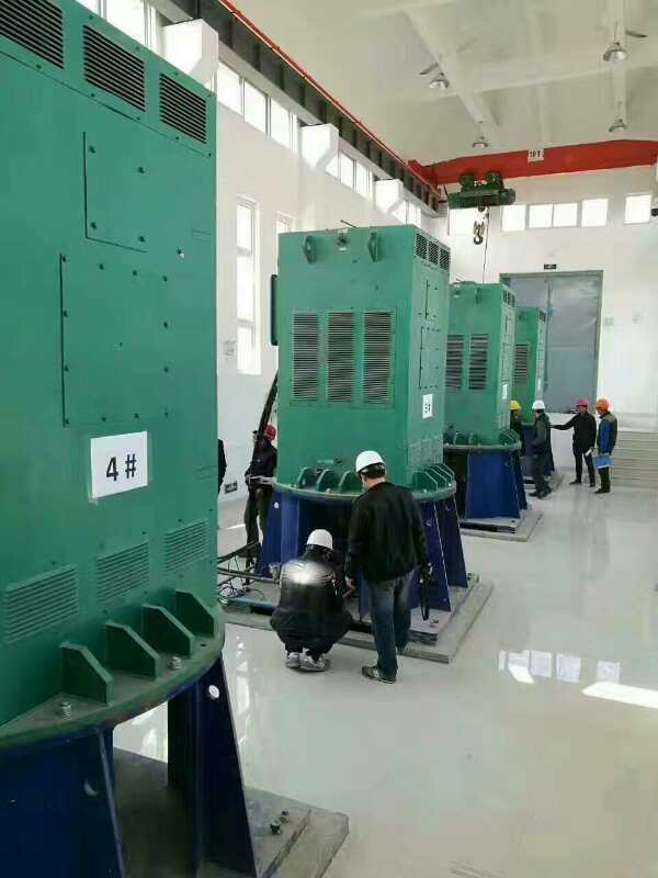 YR5002-8/315KW某污水处理厂使用我厂的立式高压电机安装现场