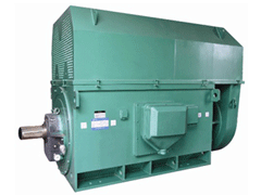 YR5002-8/315KWY系列6KV高压电机