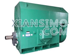 YR5002-8/315KWYXKK(2极)高效高压电机技术参数